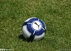 体育界多组,织呼吁延后,东京奥运,巅峰国际娱乐,巅峰国际娱乐,超凡国际,巅峰国际娱乐官方,巅峰国际娱乐官网,巅峰国际娱乐入口,巅峰国际娱乐登录